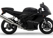 Triumph Daytona 955i Triumph Daytona 955i